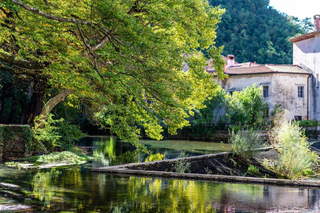 Panorama Glamping Vipavska Dolina Apartment Dobravlje Exterior photo