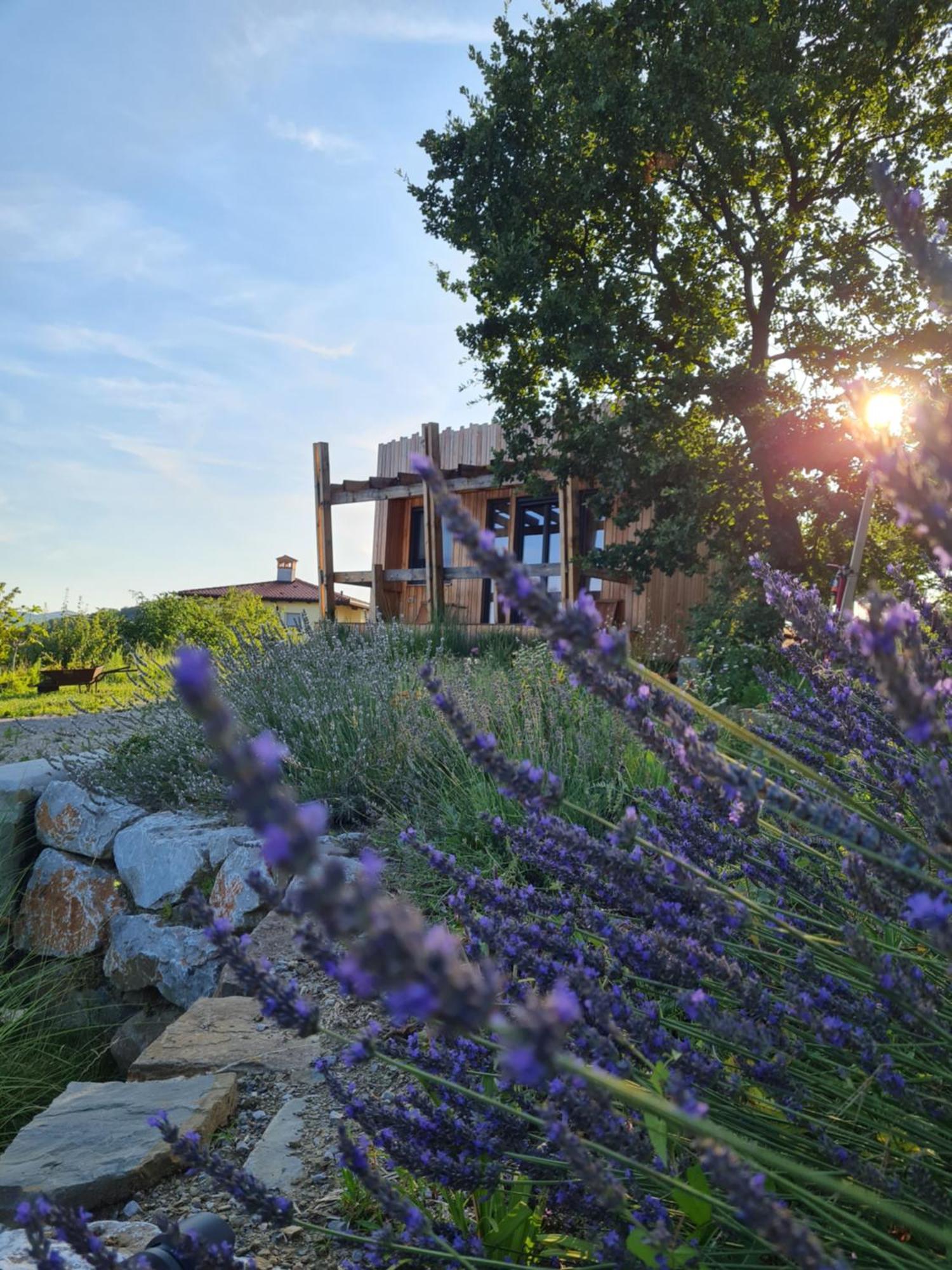 Panorama Glamping Vipavska Dolina Apartment Dobravlje Exterior photo