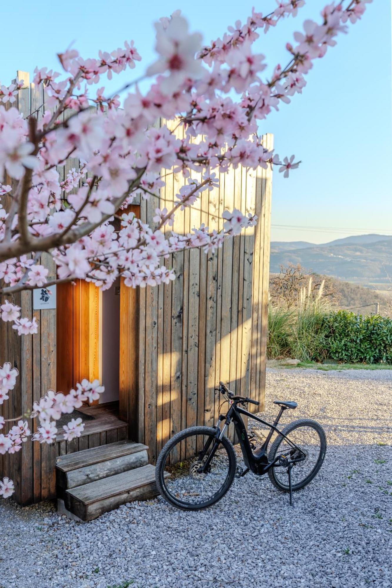 Panorama Glamping Vipavska Dolina Apartment Dobravlje Exterior photo